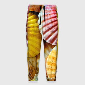 Мужские брюки 3D с принтом Разноцветные створки океанских раковин в Тюмени, 100% полиэстер | манжеты по низу, эластичный пояс регулируется шнурком, по бокам два кармана без застежек, внутренняя часть кармана из мелкой сетки | 