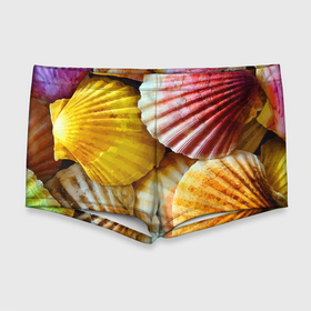 Мужские купальные плавки 3D с принтом Разноцветные створки океанских раковин в Курске, Полиэстер 85%, Спандекс 15% |  | 