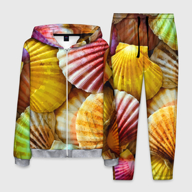Мужской костюм 3D с принтом Разноцветные створки океанских раковин в Тюмени, 100% полиэстер | Манжеты и пояс оформлены тканевой резинкой, двухслойный капюшон со шнурком для регулировки, карманы спереди | 
