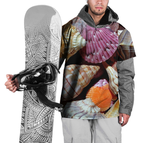 Накидка на куртку 3D с принтом Композиция из океанских ракушек в Санкт-Петербурге, 100% полиэстер |  | 