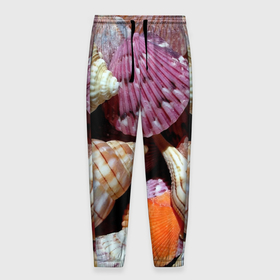 Мужские брюки 3D с принтом Композиция из океанских ракушек в Санкт-Петербурге, 100% полиэстер | манжеты по низу, эластичный пояс регулируется шнурком, по бокам два кармана без застежек, внутренняя часть кармана из мелкой сетки | 