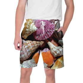 Мужские шорты 3D с принтом Композиция из океанских ракушек в Санкт-Петербурге,  полиэстер 100% | прямой крой, два кармана без застежек по бокам. Мягкая трикотажная резинка на поясе, внутри которой широкие завязки. Длина чуть выше колен | 