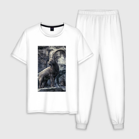 Мужская пижама хлопок с принтом Горный козел на фоне скалы в Новосибирске, 100% хлопок | брюки и футболка прямого кроя, без карманов, на брюках мягкая резинка на поясе и по низу штанин
 | Тематика изображения на принте: 