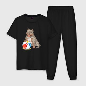 Мужская пижама хлопок с принтом Американский Булли с мячиком в Курске, 100% хлопок | брюки и футболка прямого кроя, без карманов, на брюках мягкая резинка на поясе и по низу штанин
 | 