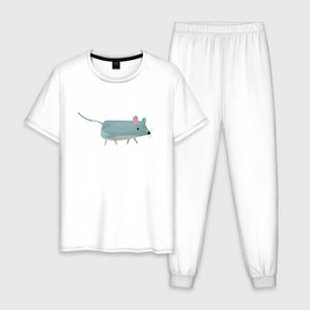 Мужская пижама хлопок с принтом Красивый мышонок в Кировске, 100% хлопок | брюки и футболка прямого кроя, без карманов, на брюках мягкая резинка на поясе и по низу штанин
 | 