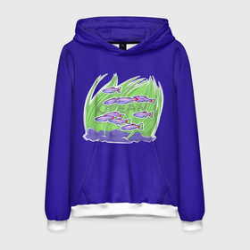 Мужская толстовка 3D с принтом Подводныи мир в Ухте, 100% полиэстер | двухслойный капюшон со шнурком для регулировки, мягкие манжеты на рукавах и по низу толстовки, спереди карман-кенгуру с мягким внутренним слоем. | 