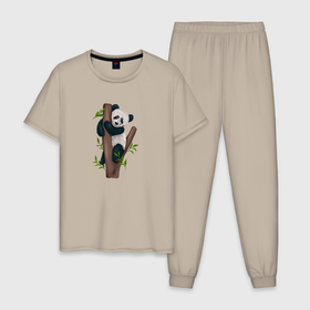Мужская пижама хлопок с принтом Панда висит на дереве в Санкт-Петербурге, 100% хлопок | брюки и футболка прямого кроя, без карманов, на брюках мягкая резинка на поясе и по низу штанин
 | Тематика изображения на принте: 