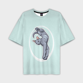Мужская футболка OVERSIZE 3D с принтом Грациозная Русская голубая кошка в Петрозаводске,  |  | Тематика изображения на принте: 