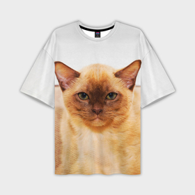 Мужская футболка oversize 3D с принтом Бурманский котёнок ,  |  | Тематика изображения на принте: 