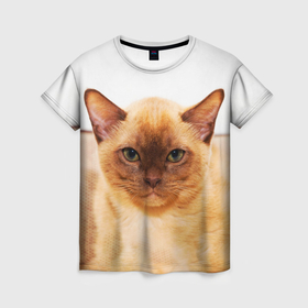 Женская футболка 3D с принтом Бурманский котёнок , 100% полиэфир ( синтетическое хлопкоподобное полотно) | прямой крой, круглый вырез горловины, длина до линии бедер | Тематика изображения на принте: 