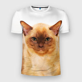 Мужская футболка 3D Slim с принтом Бурманский котёнок , 100% полиэстер с улучшенными характеристиками | приталенный силуэт, круглая горловина, широкие плечи, сужается к линии бедра | Тематика изображения на принте: 