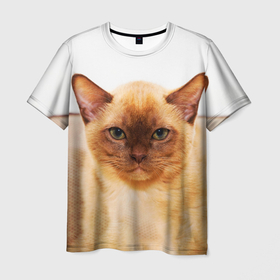 Мужская футболка 3D с принтом Бурманский котёнок , 100% полиэфир | прямой крой, круглый вырез горловины, длина до линии бедер | 