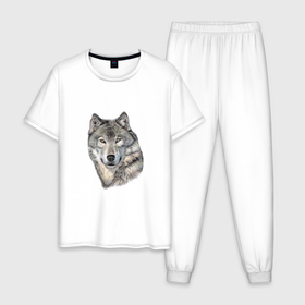 Мужская пижама хлопок с принтом The leader of a pack of wolves в Санкт-Петербурге, 100% хлопок | брюки и футболка прямого кроя, без карманов, на брюках мягкая резинка на поясе и по низу штанин
 | 