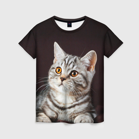 Женская футболка 3D с принтом Задумчивый котёнок британской полосатой в Екатеринбурге, 100% полиэфир ( синтетическое хлопкоподобное полотно) | прямой крой, круглый вырез горловины, длина до линии бедер | 