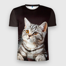 Мужская футболка 3D Slim с принтом Задумчивый котёнок британской полосатой в Екатеринбурге, 100% полиэстер с улучшенными характеристиками | приталенный силуэт, круглая горловина, широкие плечи, сужается к линии бедра | 