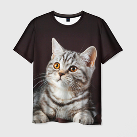 Мужская футболка 3D с принтом Задумчивый котёнок британской полосатой , 100% полиэфир | прямой крой, круглый вырез горловины, длина до линии бедер | Тематика изображения на принте: 