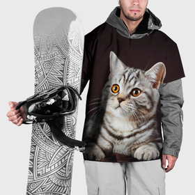 Накидка на куртку 3D с принтом Задумчивый котёнок британской полосатой , 100% полиэстер |  | Тематика изображения на принте: 