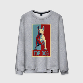 Мужской свитшот хлопок с принтом Бультерьер TOP DOG в Кировске, 100% хлопок |  | Тематика изображения на принте: 
