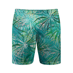 Мужские шорты спортивные с принтом Тропические листья на зеленом фоне в Курске,  |  | 