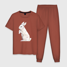 Мужская пижама хлопок с принтом Белый милый кролик в Петрозаводске, 100% хлопок | брюки и футболка прямого кроя, без карманов, на брюках мягкая резинка на поясе и по низу штанин
 | 