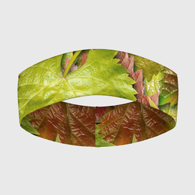 Повязка на голову 3D с принтом Осенние листья клёна   паттерн в Санкт-Петербурге,  |  | 