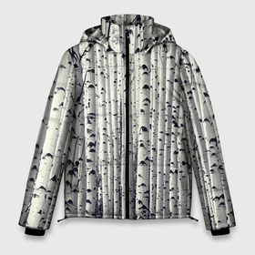 Мужская зимняя куртка 3D с принтом Русские берёзки   роща в Новосибирске, верх — 100% полиэстер; подкладка — 100% полиэстер; утеплитель — 100% полиэстер | длина ниже бедра, свободный силуэт Оверсайз. Есть воротник-стойка, отстегивающийся капюшон и ветрозащитная планка. 

Боковые карманы с листочкой на кнопках и внутренний карман на молнии. | 