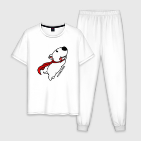 Мужская пижама хлопок с принтом Летящая собака бультерьер в Тюмени, 100% хлопок | брюки и футболка прямого кроя, без карманов, на брюках мягкая резинка на поясе и по низу штанин
 | Тематика изображения на принте: 