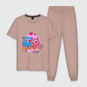 Мужская пижама хлопок с принтом Влюблённые Совы , 100% хлопок | брюки и футболка прямого кроя, без карманов, на брюках мягкая резинка на поясе и по низу штанин
 | 