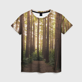 Женская футболка 3D с принтом Дневной лес, деревья и свет в Курске, 100% полиэфир ( синтетическое хлопкоподобное полотно) | прямой крой, круглый вырез горловины, длина до линии бедер | 