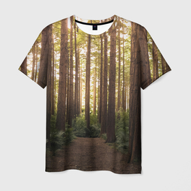 Мужская футболка 3D с принтом Дневной лес, деревья и свет в Екатеринбурге, 100% полиэфир | прямой крой, круглый вырез горловины, длина до линии бедер | 