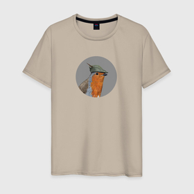 Мужская футболка хлопок с принтом Робин Гуд в Белгороде, 100% хлопок | прямой крой, круглый вырез горловины, длина до линии бедер, слегка спущенное плечо. | 