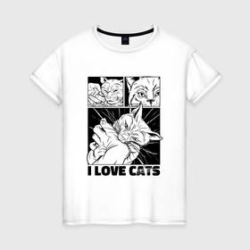 Женская футболка хлопок с принтом Я люблю котов   кот кусает за руку в Екатеринбурге, 100% хлопок | прямой крой, круглый вырез горловины, длина до линии бедер, слегка спущенное плечо | 
