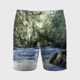 Мужские шорты спортивные с принтом Течёт река в лесу ,  |  | 