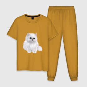 Мужская пижама хлопок с принтом Белый персидский кот в Курске, 100% хлопок | брюки и футболка прямого кроя, без карманов, на брюках мягкая резинка на поясе и по низу штанин
 | Тематика изображения на принте: 