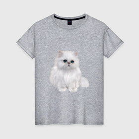 Женская футболка хлопок с принтом Белый персидский кот в Тюмени, 100% хлопок | прямой крой, круглый вырез горловины, длина до линии бедер, слегка спущенное плечо | 