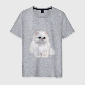 Мужская футболка хлопок с принтом Белый персидский кот в Курске, 100% хлопок | прямой крой, круглый вырез горловины, длина до линии бедер, слегка спущенное плечо. | Тематика изображения на принте: 