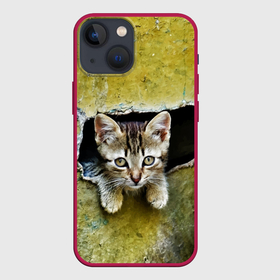 Чехол для iPhone 13 mini с принтом Котёнок выглядывает из дыры в стене ,  |  | Тематика изображения на принте: 