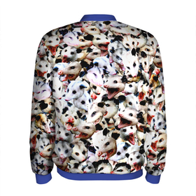 Мужской бомбер 3D с принтом Опоссумы в городе Новоалтайск, 100% полиэстер | застегивается на молнию, по бокам два кармана без застежек, по низу бомбера и на воротнике - эластичная резинка | Тематика изображения на принте: 