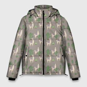 Мужская зимняя куртка 3D с принтом Три забавных ламы среди кактусов , верх — 100% полиэстер; подкладка — 100% полиэстер; утеплитель — 100% полиэстер | длина ниже бедра, свободный силуэт Оверсайз. Есть воротник-стойка, отстегивающийся капюшон и ветрозащитная планка. 

Боковые карманы с листочкой на кнопках и внутренний карман на молнии. | 