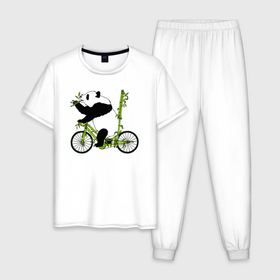 Мужская пижама хлопок с принтом Панда на велосипеде с бамбуком в Курске, 100% хлопок | брюки и футболка прямого кроя, без карманов, на брюках мягкая резинка на поясе и по низу штанин
 | 