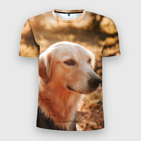 Мужская футболка 3D Slim с принтом Красивая собака на фотосессии в Белгороде, 100% полиэстер с улучшенными характеристиками | приталенный силуэт, круглая горловина, широкие плечи, сужается к линии бедра | 