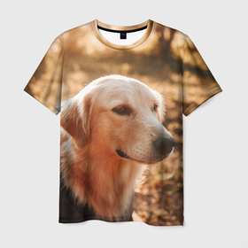 Мужская футболка 3D с принтом Красивая собака на фотосессии в Белгороде, 100% полиэфир | прямой крой, круглый вырез горловины, длина до линии бедер | 
