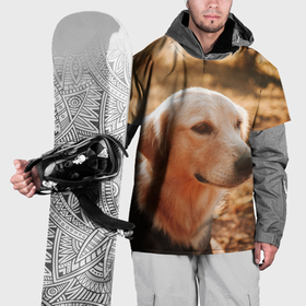 Накидка на куртку 3D с принтом Красивая собака на фотосессии в Белгороде, 100% полиэстер |  | 