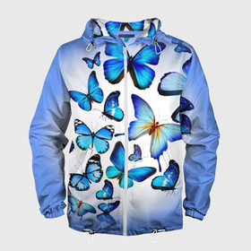 Мужская ветровка 3D с принтом Бабочки на синем фоне , 100% полиэстер | подол и капюшон оформлены резинкой с фиксаторами, два кармана без застежек по бокам, один потайной карман на груди | 