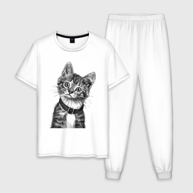 Мужская пижама хлопок с принтом Прикольный котёнок в ошейнике в Тюмени, 100% хлопок | брюки и футболка прямого кроя, без карманов, на брюках мягкая резинка на поясе и по низу штанин
 | 