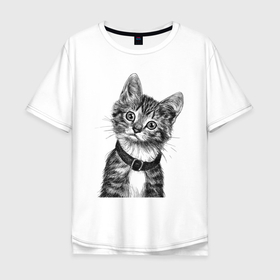 Мужская футболка хлопок Oversize с принтом Прикольный котёнок в ошейнике в Белгороде, 100% хлопок | свободный крой, круглый ворот, “спинка” длиннее передней части | 