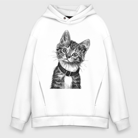 Мужское худи Oversize хлопок с принтом Прикольный котёнок в ошейнике в городе Новоалтайск, френч-терри — 70% хлопок, 30% полиэстер. Мягкий теплый начес внутри —100% хлопок | боковые карманы, эластичные манжеты и нижняя кромка, капюшон на магнитной кнопке | 