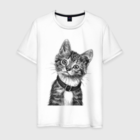 Мужская футболка хлопок с принтом Прикольный котёнок в ошейнике в Тюмени, 100% хлопок | прямой крой, круглый вырез горловины, длина до линии бедер, слегка спущенное плечо. | 