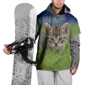 Накидка на куртку 3D с принтом Уличный милый котёнок в траве в Екатеринбурге, 100% полиэстер |  | Тематика изображения на принте: 