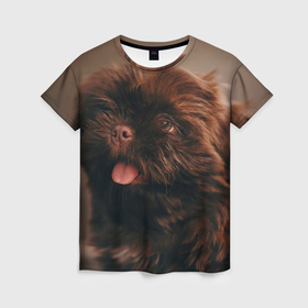 Женская футболка 3D с принтом Пушистая собачка в Рязани, 100% полиэфир ( синтетическое хлопкоподобное полотно) | прямой крой, круглый вырез горловины, длина до линии бедер | 